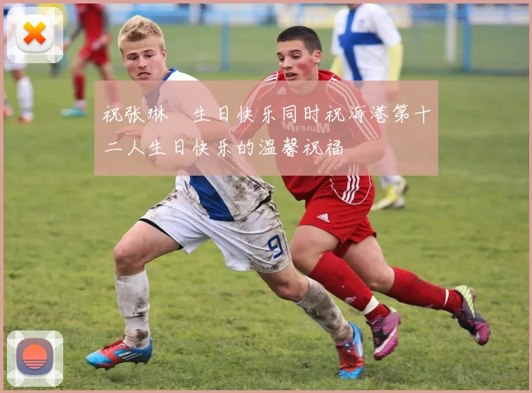 祝张琳芃生日快乐同时祝海港第十二人生日快乐的温馨祝福